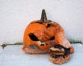 Rotten halloween pumpkin after the holidays Royalty Free Stock Photo