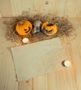 rotten Halloween pumpkin and old paper with candlelight and dry Royalty Free Stock Photo