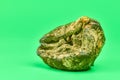 Rotten lemon, green background