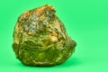 Rotten lemon, green background