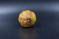 Rotten lime fruit on seen from above on a dark background Royalty Free Stock Photo