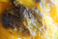 Rotten mango texture