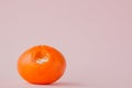 Rotten moldy oranges, tangerines on pink background. A photo of the growing mold. Food contamination, bad spoiled disgusting Royalty Free Stock Photo