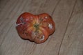 Rotten mouldy tomato