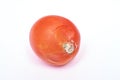 Rotten old tomato with mildew Royalty Free Stock Photo