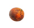 Rotten Orange with Dark Spots Isolated on White Background Keywords: orange, fruit, rotten Royalty Free Stock Photo