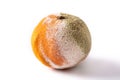Rotten orange fruit Royalty Free Stock Photo