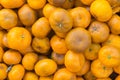 Rotten oranges with areas of mould showing almost everywhere. Royalty Free Stock Photo