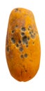 Rotten papaya on a white background Royalty Free Stock Photo