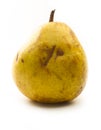 Rotten pear Royalty Free Stock Photo