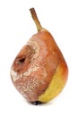 Rotten pear isolated on a white background closeup Royalty Free Stock Photo