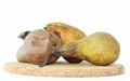 Rotten pears on the cork stand Royalty Free Stock Photo