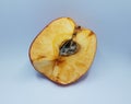 Rotten red apple with mold on white background Royalty Free Stock Photo