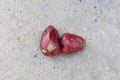 Rotten rose apple on grunge background Royalty Free Stock Photo