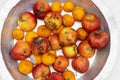Rotten, spoiled apples and tangerines on an iron pan