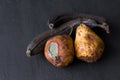 Rotten spoiled rotten fruits, bananas and pears. Black bananas on a black dark background. Damaged products, mold. Copy space for Royalty Free Stock Photo