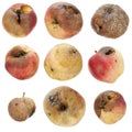 The rotten spoiled inedible apples set Royalty Free Stock Photo