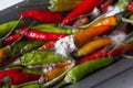 Rotten spoiled rotten fruits of red and green chili peppers. Rotten foods, damaged peppers. Mold on vegetables Royalty Free Stock Photo