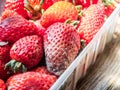 Rotten strawberries in plastic container