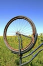 Rotten tire on old bike