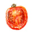 Bad tomato Royalty Free Stock Photo