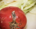 Rotten tomato on the kitchen table, close-up Royalty Free Stock Photo