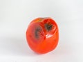 Rotten Tomatoes,Is a red fruit Sour and sweet,Skin has black mold, White background