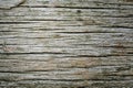 Rotten wood background