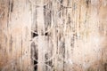 Rotten wood texture Royalty Free Stock Photo