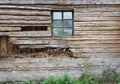 The rotten wooden wall of a village barn with a window