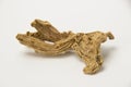 Rotten wrinkled ginger root on a white background