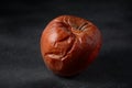 Rotten wrinkled skin apple on black background.