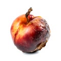 Decomposing Rotten Peach Unhealthy Eating Concept in Spoiled Fruit, Mold Growth, Generative Ai Royalty Free Stock Photo