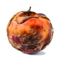 Decomposing Rotten Peach Unhealthy Eating Concept in Spoiled Fruit, Mold Growth, Generative Ai Royalty Free Stock Photo