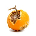 Decomposing Rotten Orange Unhealthy Eating Concept in Spoiled Citrus, Mold Growth, Generative Ai Royalty Free Stock Photo