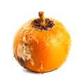 Decomposing Rotten Orange Unhealthy Eating Concept in Spoiled Citrus, Mold Growth, Generative Ai Royalty Free Stock Photo