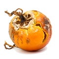 Decomposing Rotten Orange Unhealthy Eating Concept in Spoiled Citrus, Mold Growth, Generative Ai Royalty Free Stock Photo