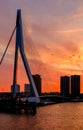 Rotterdam city cityscape with Erasmus bridge at sunset