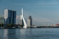 Rotterdam city cityscape skyline with Erasmus bridge and river. South Holland, Netherlands. Royalty Free Stock Photo