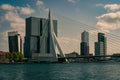 Rotterdam cityscape Erasmus bridge over the Meuse river and modern office buildings at Kop van Zuid, the Netherlands Holland Royalty Free Stock Photo