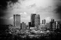 Rotterdam downtown apartment and office buildings in the center of this beautiful dutch city. Eurovision song contest 2020