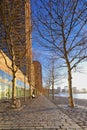 Rotterdam - 14 February 2019: Rotterdam, The Netherlands. One bicycle is parked against a tree, water and buildings in