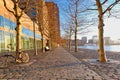 Rotterdam - 14 February 2019: Rotterdam, The Netherlands. One bicycle is parked against a tree, water and buildings in