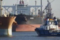 Rotterdam Harbour, the Netherlands Royalty Free Stock Photo