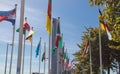 International country flag parade on flagpoles