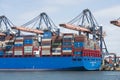 COSCO SHIPPING SCORPIO a large container ship lying in the harbour of Rotterdam being