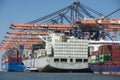 Cosco Shipping Scorpio and Cosco PHILIPPINES two large container ships lying in the