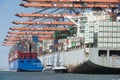 Cosco Shipping Scorpio and Cosco PHILIPPINES two large container ships lying in the