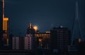 Panorama of Rotterdam. View of the rooftops