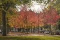 Rotterdam town square in autumn